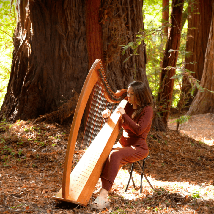 Music for the Redwoods